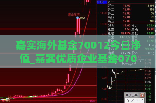 嘉实海外基金70012今日净值_嘉实优质企业基金070099净值  第1张