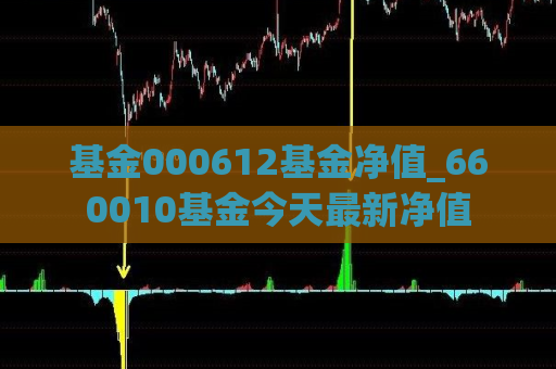 基金000612基金净值_660010基金今天最新净值