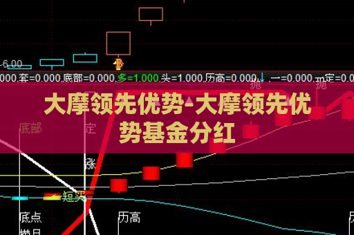 大摩领先优势-大摩领先优势基金分红  第1张