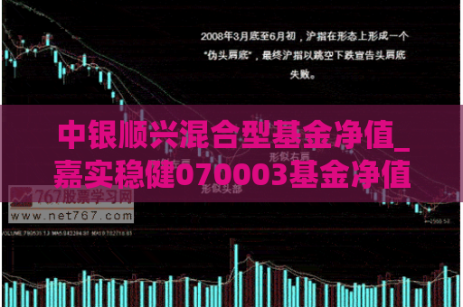 中银顺兴混合型基金净值_嘉实稳健070003基金净值  第1张