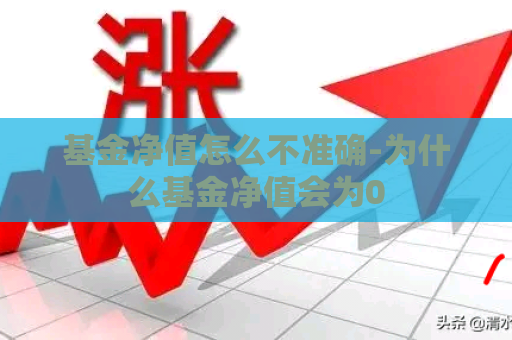 基金净值怎么不准确-为什么基金净值会为0