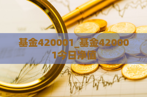 基金420001_基金420001今日净值  第1张