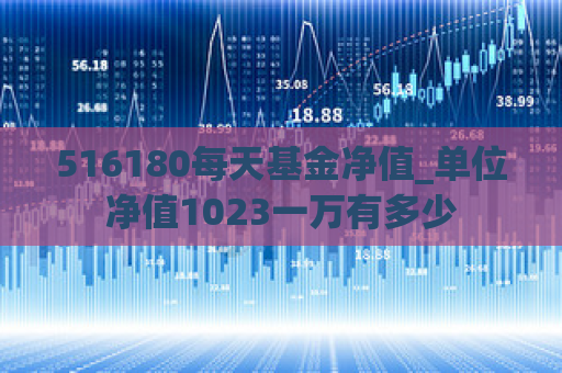 516180每天基金净值_单位净值1023一万有多少  第1张