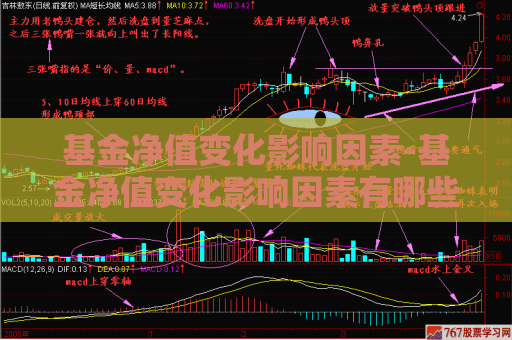 基金净值变化影响因素-基金净值变化影响因素有哪些