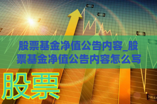 股票基金净值公告内容_股票基金净值公告内容怎么写  第1张