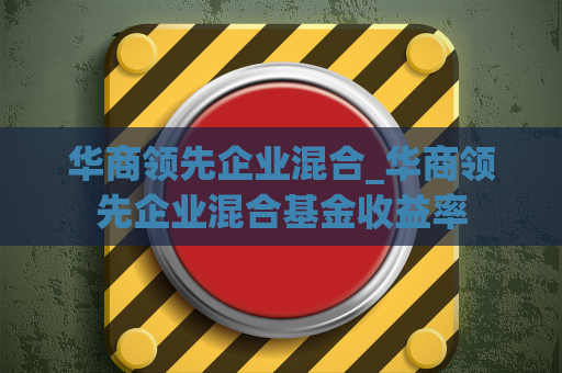 华商领先企业混合_华商领先企业混合基金收益率