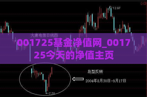 001725基金净值网_001725今天的净值主页