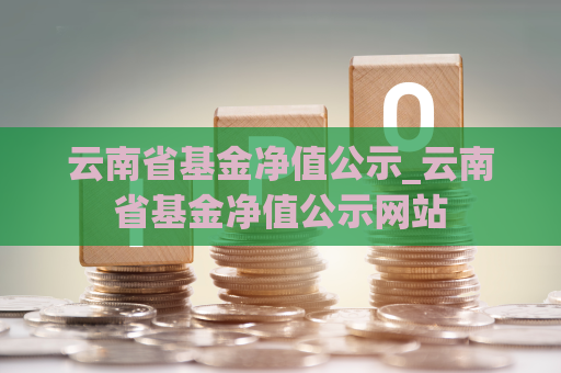 云南省基金净值公示_云南省基金净值公示网站  第1张