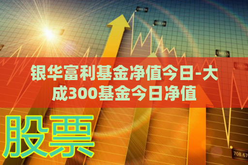 银华富利基金净值今日-大成300基金今日净值  第1张