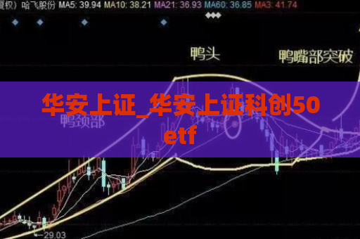 华安上证_华安上证科创50etf  第1张