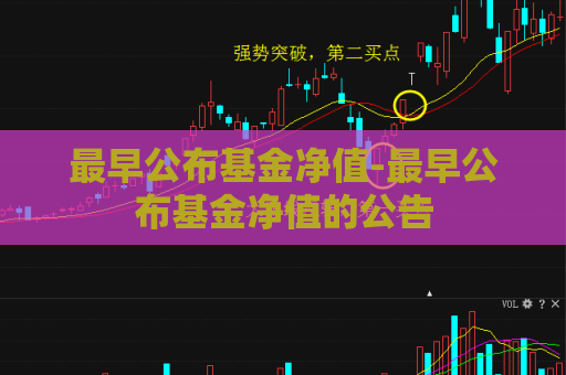 最早公布基金净值-最早公布基金净值的公告