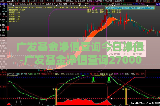 广发基金净值查询今日净值-广发基金净值查询270001