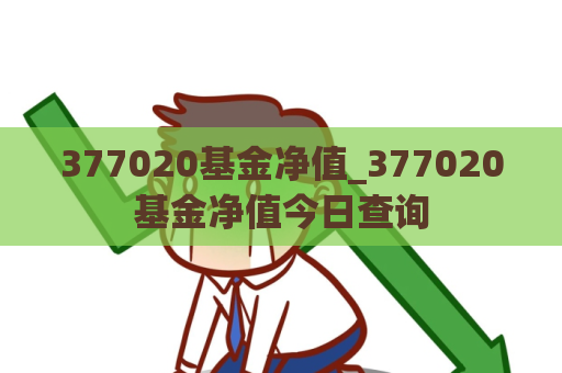 377020基金净值_377020基金净值今日查询