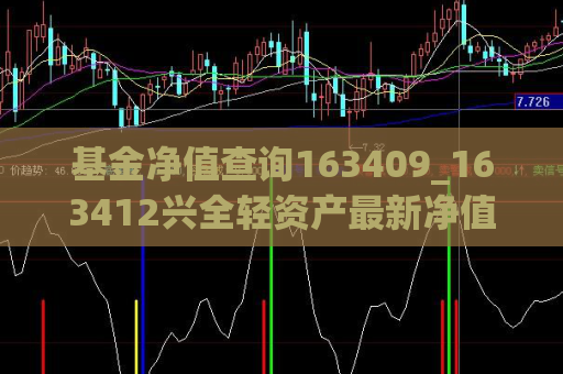 基金净值查询163409_163412兴全轻资产最新净值