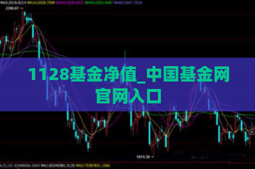 1128基金净值_中国基金网官网入口  第1张