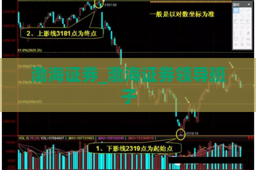 渤海证券_渤海证券领导班子