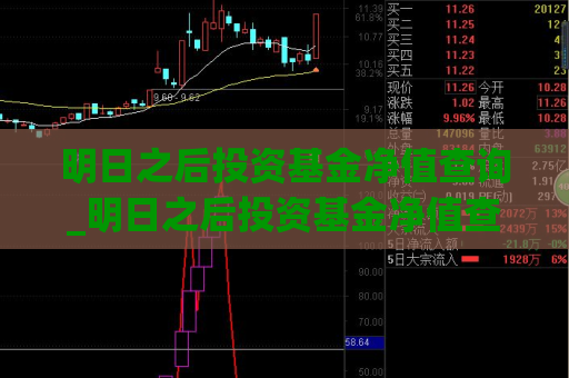 明日之后投资基金净值查询_明日之后投资基金净值查询软件  第1张