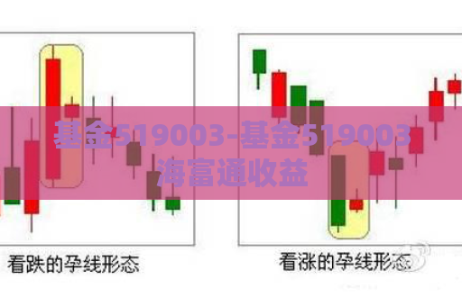 基金519003-基金519003海富通收益  第1张