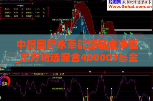 中银国际永泰能源基金净值_东方精选混合400003基金净值