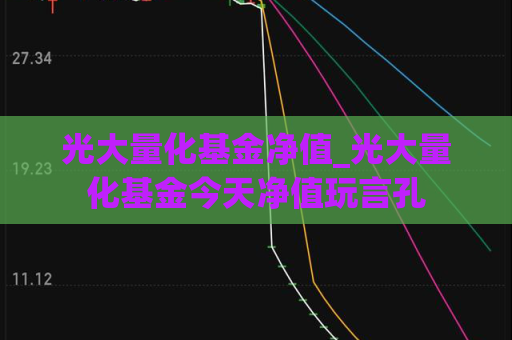 光大量化基金净值_光大量化基金今天净值玩言孔