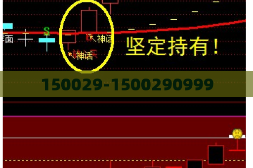 150029-1500290999  第1张