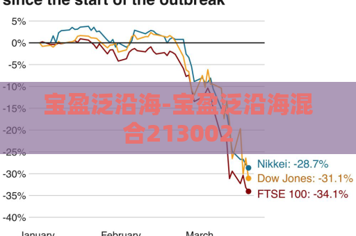 宝盈泛沿海-宝盈泛沿海混合213002  第1张