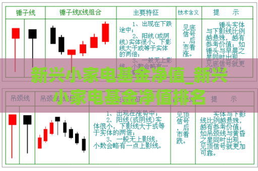 新兴小家电基金净值_新兴小家电基金净值排名