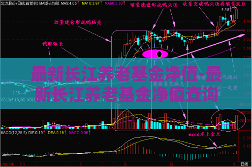 最新长江养老基金净值-最新长江养老基金净值查询