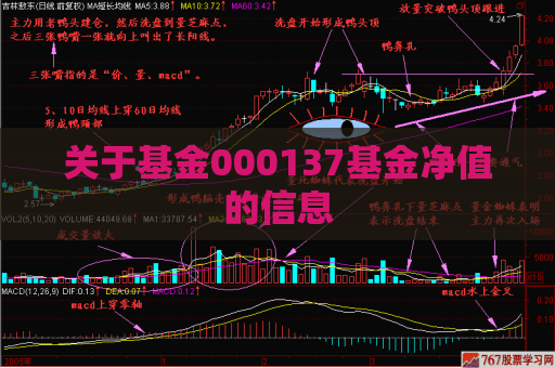 关于基金000137基金净值的信息