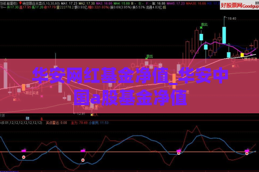 华安网红基金净值_华安中国a股基金净值  第1张