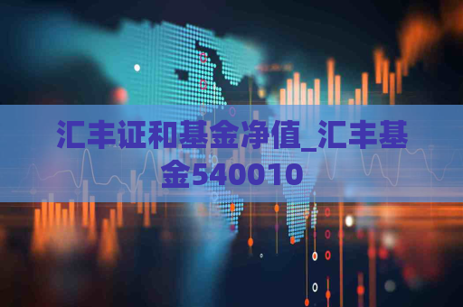 汇丰证和基金净值_汇丰基金540010  第1张