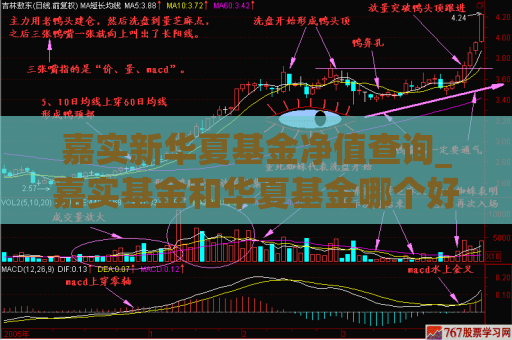 嘉实新华夏基金净值查询_嘉实基金和华夏基金哪个好