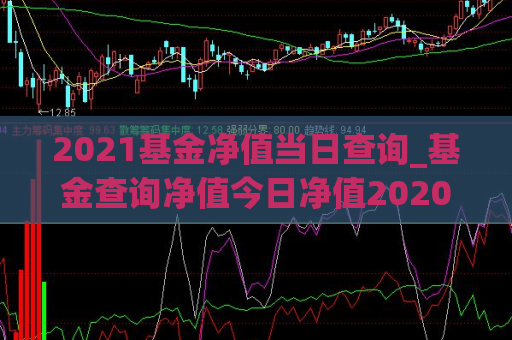 2021基金净值当日查询_基金查询净值今日净值202002