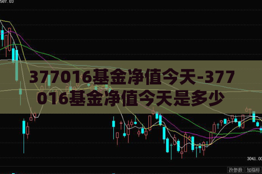 377016基金净值今天-377016基金净值今天是多少