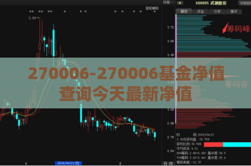 270006-270006基金净值查询今天最新净值