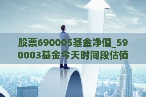 股票690005基金净值_590003基金今天时间段估值  第1张