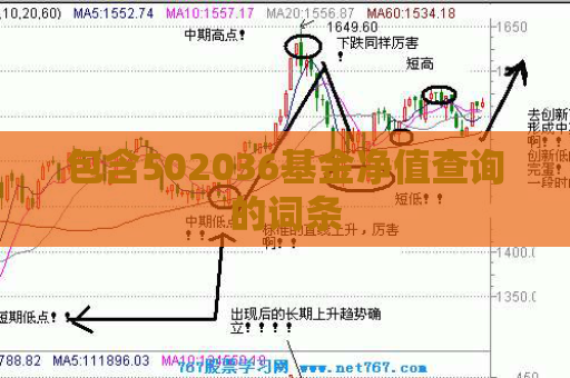 包含502036基金净值查询的词条