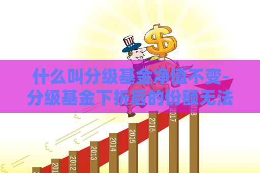 什么叫分级基金净值不变-分级基金下折后的份额无法卖出