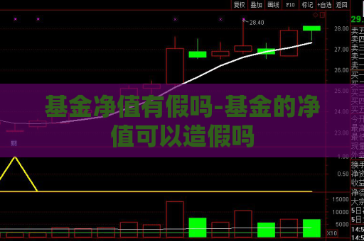 基金净值有假吗-基金的净值可以造假吗