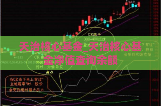 天治核心基金_天治核心基金净值查询余额