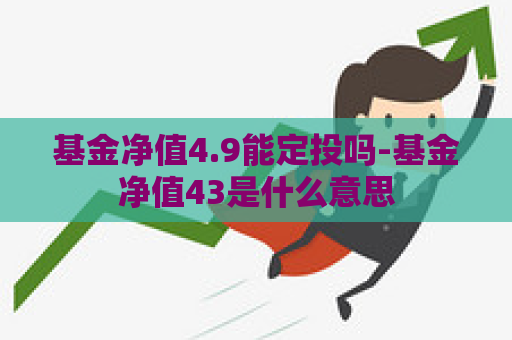 基金净值4.9能定投吗-基金净值43是什么意思