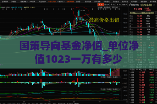 国策导向基金净值_单位净值1023一万有多少  第1张