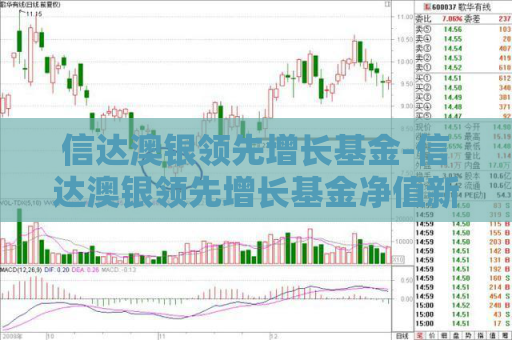 信达澳银领先增长基金-信达澳银领先增长基金净值新浪