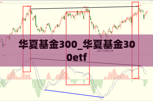 华夏基金300_华夏基金300etf