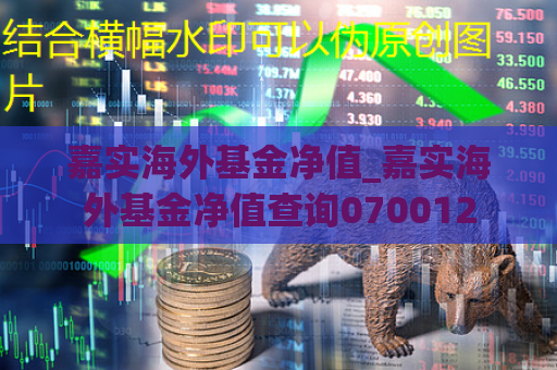 嘉实海外基金净值_嘉实海外基金净值查询070012  第1张