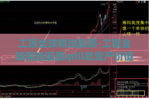 工银全球精选股票-工银全球精选股票qdii总资产价值