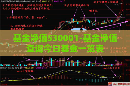 基金净值530001-基金净值查询今日基金一览表