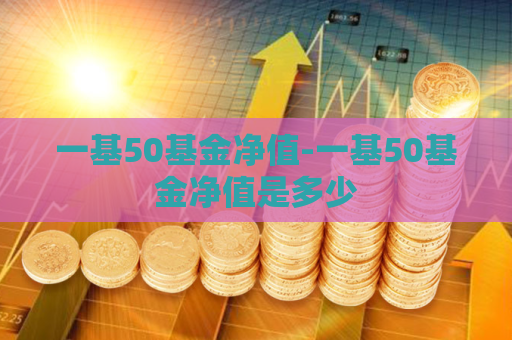 一基50基金净值-一基50基金净值是多少  第1张