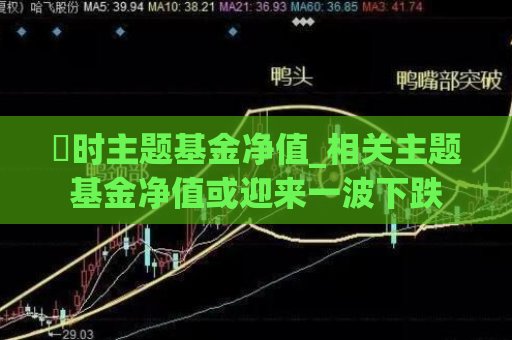 愽时主题基金净值_相关主题基金净值或迎来一波下跌