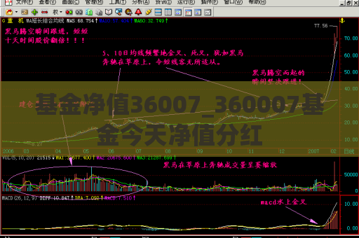 基金净值36007_360007基金今天净值分红